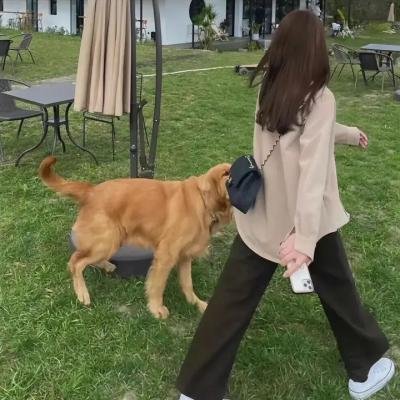 变性奇闻